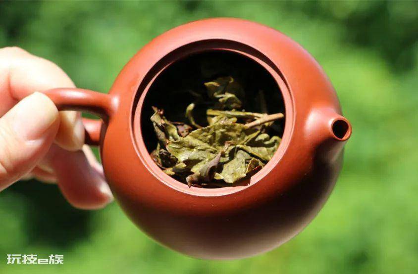 泡绿茶用什么茶具最好(冲泡绿茶选用什么样的容器好喝)-图片6